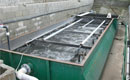 <b>Planta de Tratamiento:</b> Hacienda Las Flores<br /><b>Cumplimiento: </b>NOM 001<br /> <b>Capacidad instalada: </b>2 l/s<br /> <b>Gasto de operaci&oacute;n: </b>1 l/s