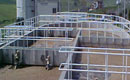 <b>Planta de Tratamiento: </b>Santa Fe<br /><b>Cumplimiento: </b>NOM 001 Y 003 <br /> <b>Capacidad intalada: </b>20 l/s<br /> <b>Gasto de operaci&oacute;n: </b>6 l/s